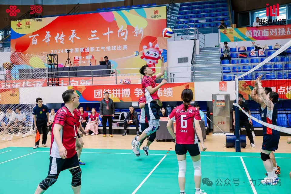 微信图片_20241010234519