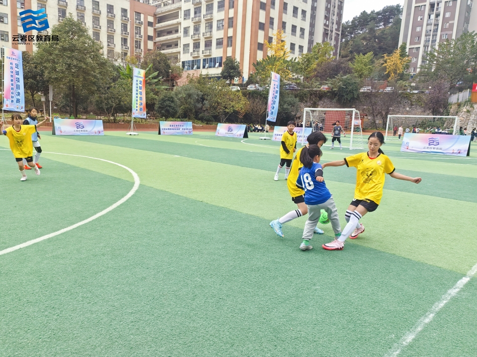 8640b12ccd5d7e4544bfec2bce329f43-opq3336836055