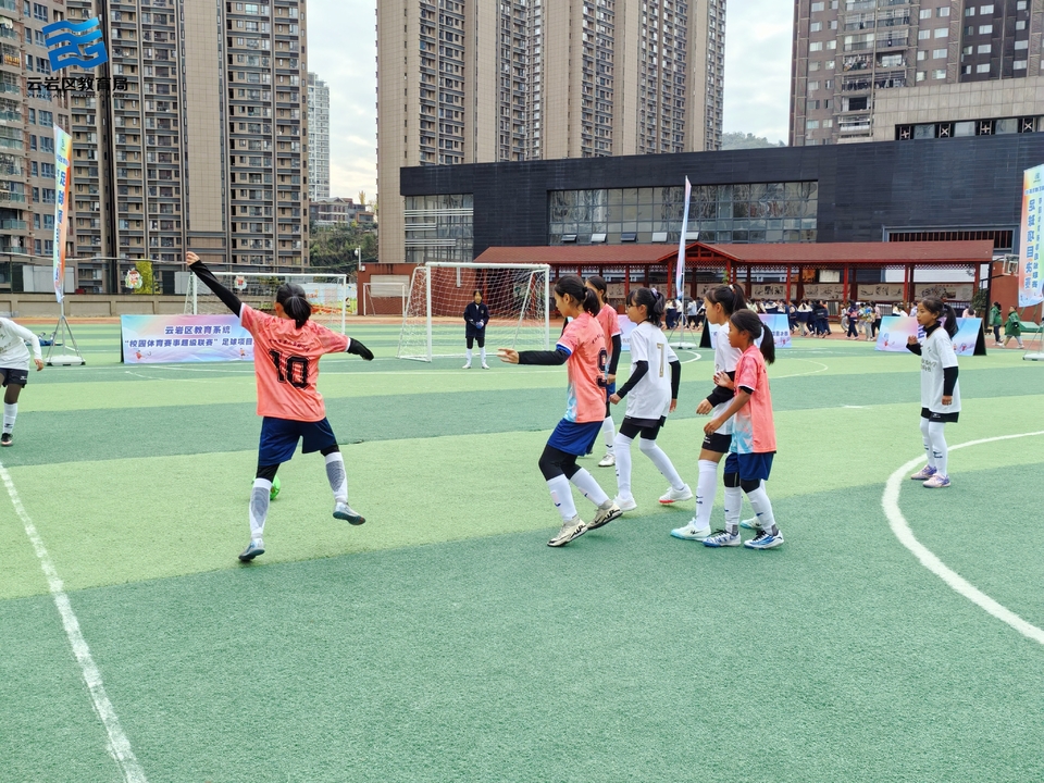 微信图片_202411281812401