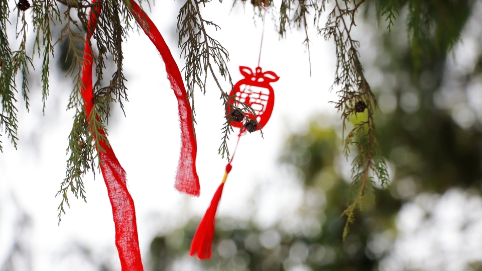 IMG_8477-opq3545309816