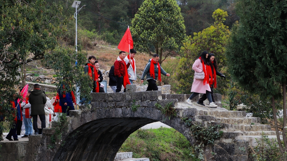 IMG_8484-opq3545366839