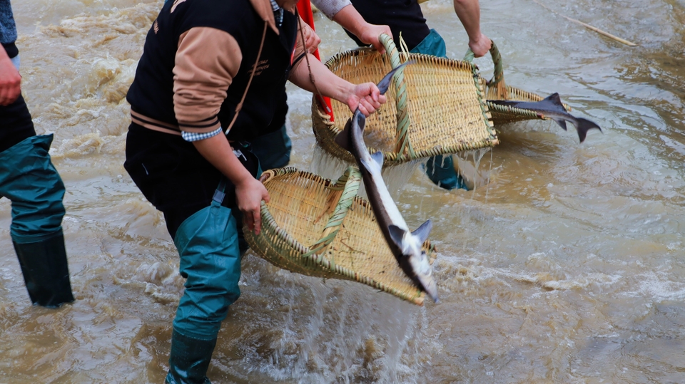 IMG_8646-opq3545384197