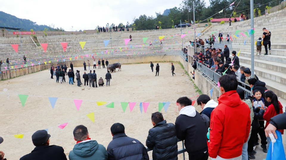 IMG_8676-opq3545597351