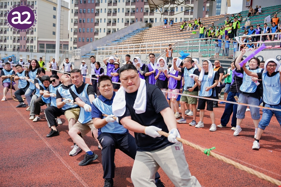 CEH06332-opq3824144689