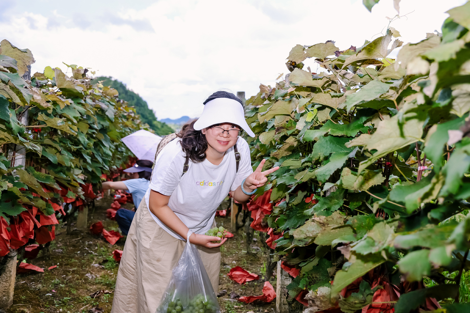 微信图片_20250828195206