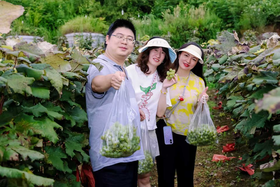 微信图片_202508281934441