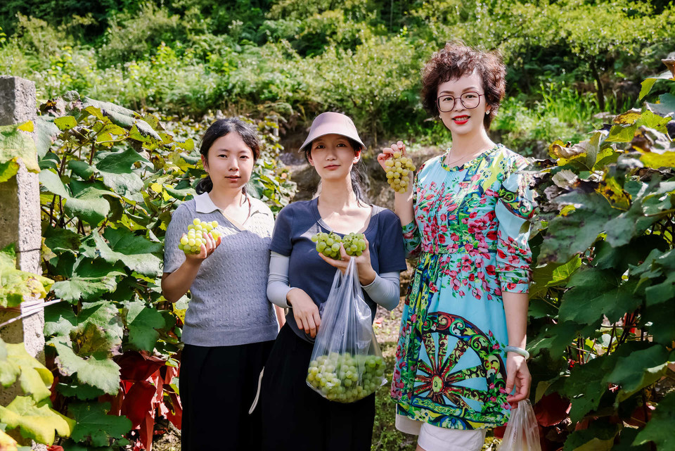 微信图片_202508281951556