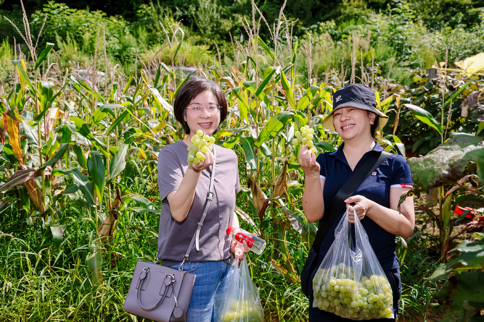 微信图片_202508281952031