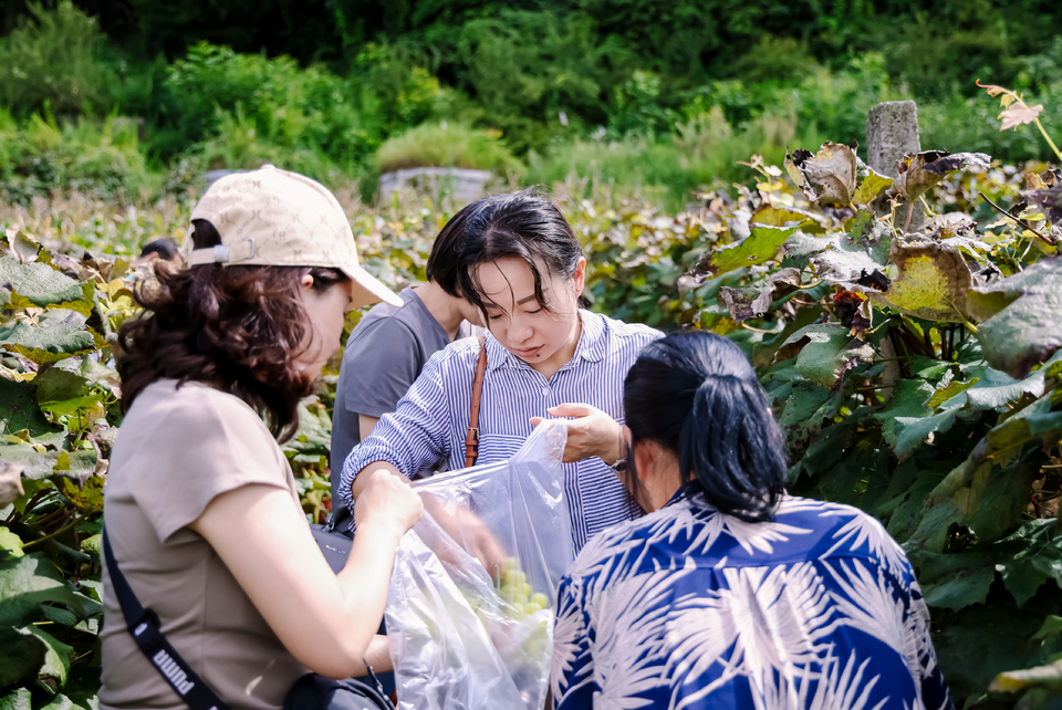 微信图片_202508281952061