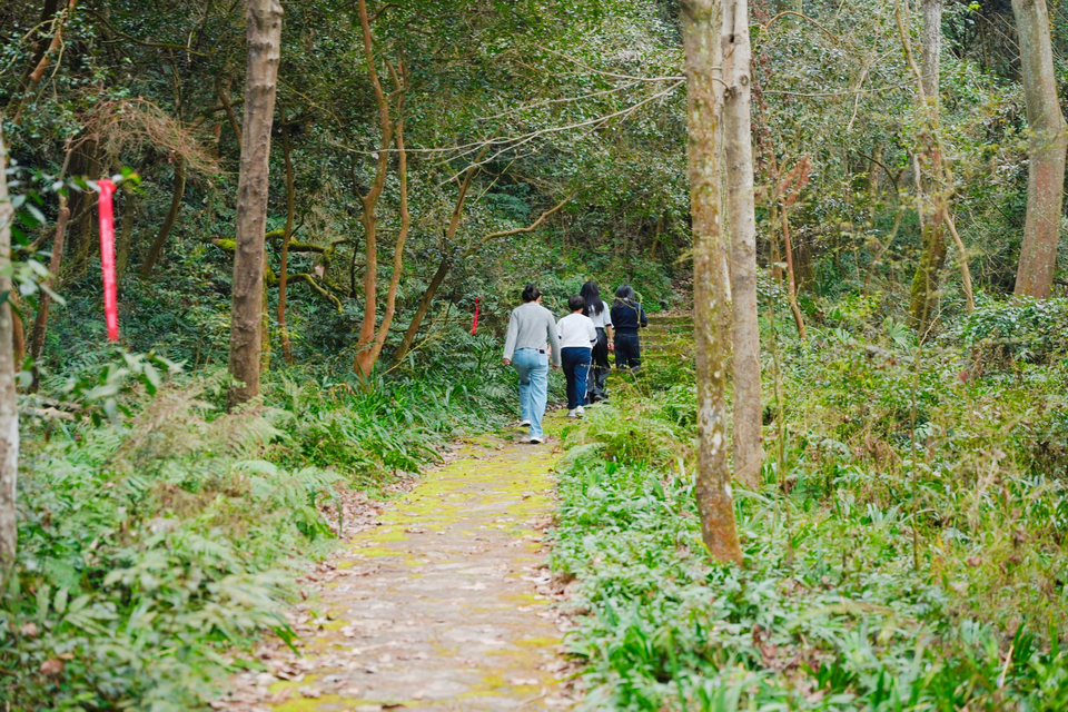 微信图片_20260306195826_139_218