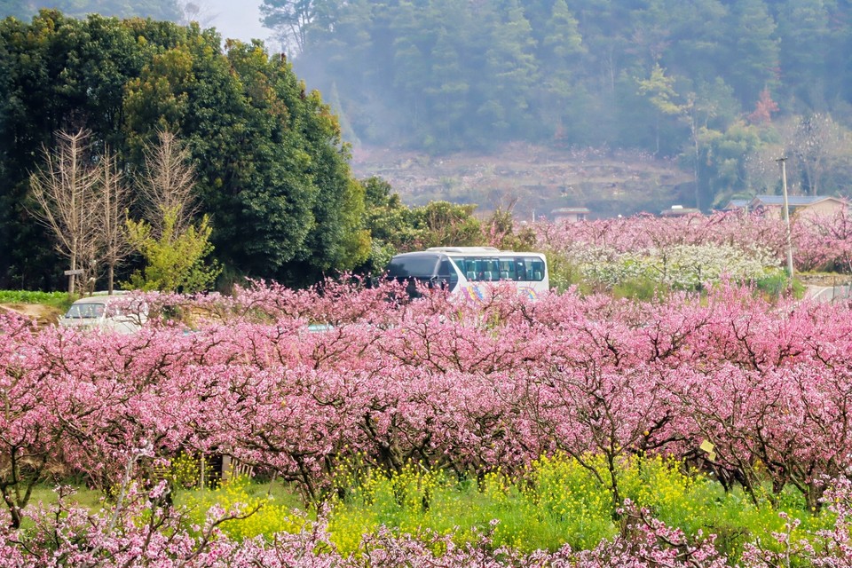 微信图片_20260314181109_54_85