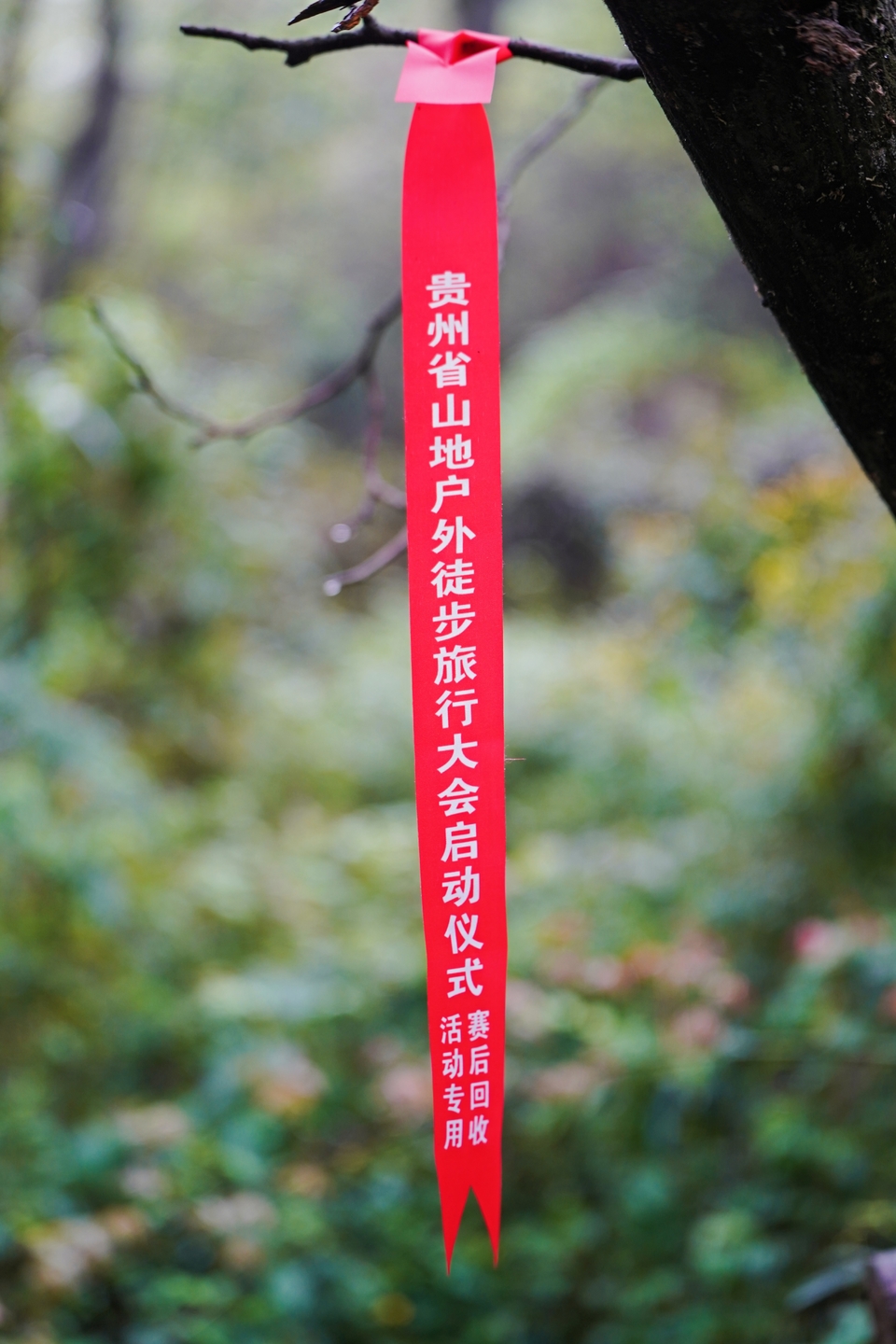 微信图片_20260329161008_189_93