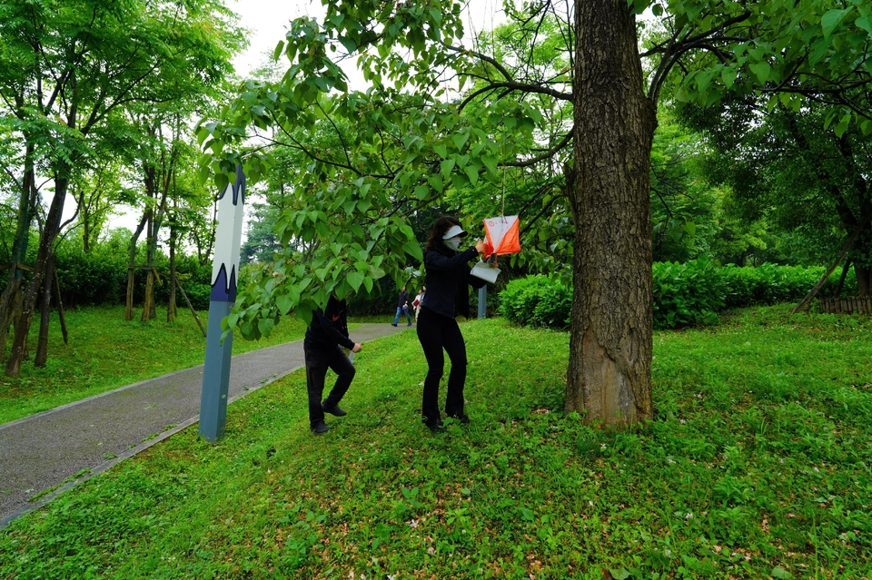 DSC07323-opq4531814005