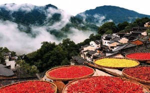 【10.1-5发团】780元：望仙谷+篁岭+景德镇，纯玩3日游