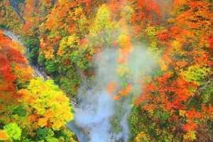 【10.23/24/25/30发团】1980元：长白山秋色-长春、长白山、延吉、朝鲜民俗园、哈尔滨，双飞六日游