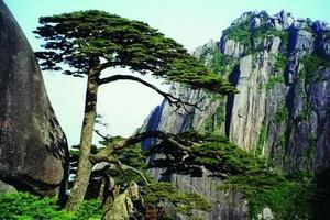 【4.4發(fā)團(tuán)】770元：經(jīng)典黃山、宏村、天湖歡樂谷，純玩三日游