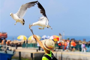 【4.4發(fā)團】580元：環(huán)游威海-火炬八街、韓樂坊、海驢島、桑溝灣海洋牧場，純玩3日游