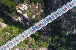 【11.2发团】特价79元：龟蒙山拜老寿星+剋临沂炒鸡，纯玩一日游