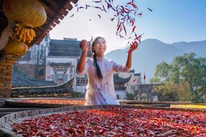 【10.4發(fā)團】780元：篁嶺曬秋+望仙谷+景德鎮(zhèn)，純玩3日游