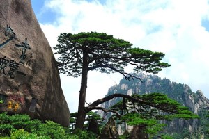 【3.4/7發(fā)團】580元：黃山女性免門票，特惠三日游