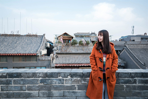 【唐秘梵音】2500元：西安-兵马俑-华清宫-乾陵-法门寺-大慈恩寺-西安博物院-大唐不夜城，双高4日游