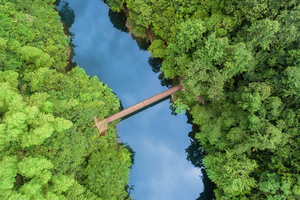 【周五发团】680元：醉山野、九华天池、杏花村，三日游