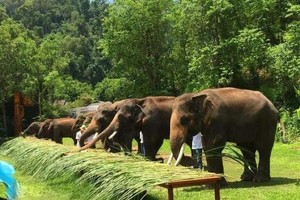 【純享瀾湄】3580元：昆明、普洱、西雙版納，雙飛6日游