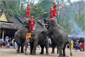 【悠樂版納】6380元：直飛西雙版納，六日游