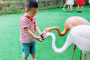 【4.4/5/6發(fā)團(tuán)】188元：九頂山野生動(dòng)物園，一日游