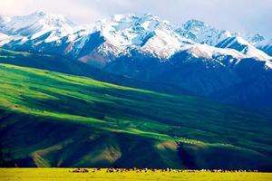 【北疆+伊犁頭等艙】13480元：天山天池·喀納斯·禾木·烏爾禾魔鬼城·賽里木湖·那拉提·獨(dú)庫公路·火焰山，雙飛10日游