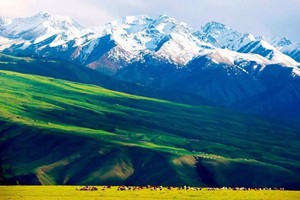 【北疆+伊犁头等舱】13480元：天山天池·喀纳斯·禾木·乌尔禾魔鬼城·赛里木湖·那拉提·独库公路·火焰山，双飞10日游