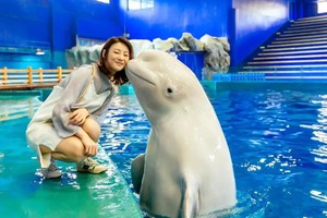 【3.14发团】288元：青岛+极地海洋世界+海上观光，纯玩二日游