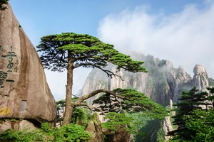 【4.1-4发团】680元：经典黄山、天湖欢乐谷、秀里，纯玩三日游