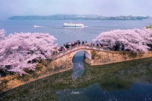 【4.4/5發(fā)團(tuán)】380元：無(wú)錫、黿頭渚賞櫻花、惠山古鎮(zhèn)，二日游