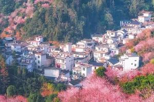 【周六發(fā)團(tuán)】548元：賣花漁村、訪陽(yáng)產(chǎn)土樓，純玩二日游