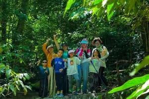 【雨林牧歌】4680元：直飛西雙版納，雙飛五日游