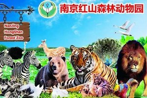 【周六、七發(fā)團(tuán)】特價(jià)128元：南京紅山動(dòng)物園+夫子廟，一日游