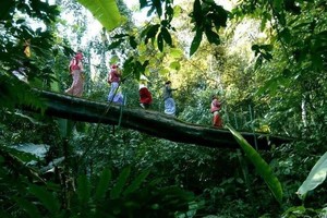 【秀色可餐 】2780元：昆明、普洱、西雙版納，雙飛6日游