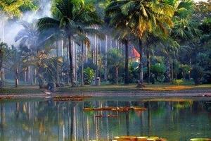 【象動(dòng)動(dòng)】4350元：昆明、普洱、版納，雙飛6日游