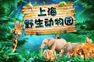 【4.4/5發(fā)團】580元：上海野生動物園、自然博物館、外灘、純玩二日