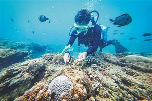 【海南专线】3899元：三亚体验官，双飞5日游