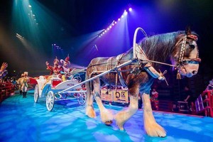 【長隆專線】6980元：港珠澳大橋+雙長隆+大馬戲，五星品質(zhì)雙飛6日游