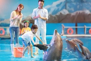 【4.4/5發(fā)團(tuán)】380元：青島極地海洋世界+海軍博物館+金沙灘，純玩二日游