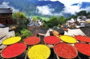 【周五发团】680元：望仙谷+篁岭+婺女洲，纯玩三日游