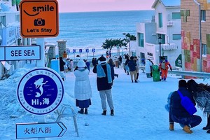 【周五發(fā)團(tuán)】598元：雪遇威海-火炬八街+煙墩角看天鵝+那香海+布魯維斯號+韓樂坊，純玩3日游