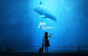 【4.4發(fā)團(tuán)】980元：上海海昌海洋公園+野生動(dòng)物園+外灘風(fēng)光，三日游