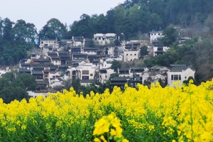 【2.28/3.4發(fā)團】特價480元：七星婺女州+篁嶺梯田花海+景德鎮(zhèn) ，純玩三日游