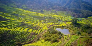 【4.4發(fā)團】特價680元：望仙谷+篁嶺梯田油菜花，純玩3日游