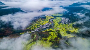 【4.4發(fā)團】特價580元：三清山+篁嶺梯田油菜花，三日游