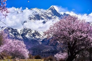 【3.28發(fā)團(tuán)】2980元：西藏雙臥11日游